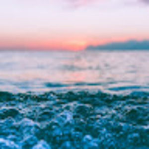 Meet your Posher, Harriet